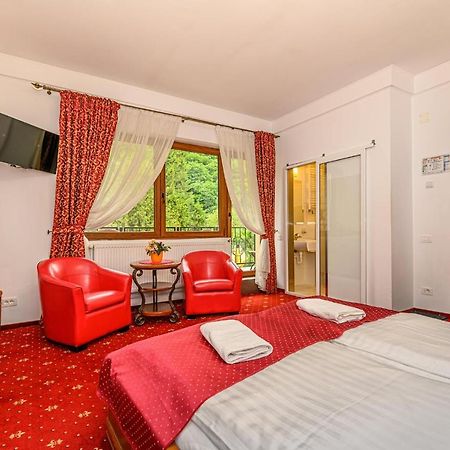 Panoramic Center Rooms Брашов Экстерьер фото